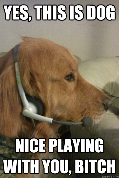 yes, this is dog Nice playing with you, bitch  Xbox Live Dog
