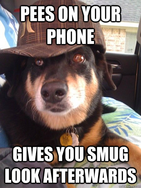 Pees on your phone gives you smug look afterwards  Scumbag dog