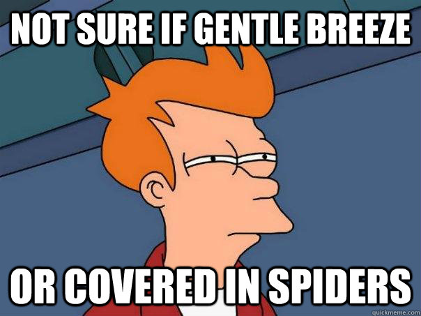 Not sure if gentle breeze or covered in spiders  Futurama Fry