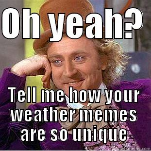 OH YEAH?  TELL ME HOW YOUR WEATHER MEMES ARE SO UNIQUE Condescending Wonka