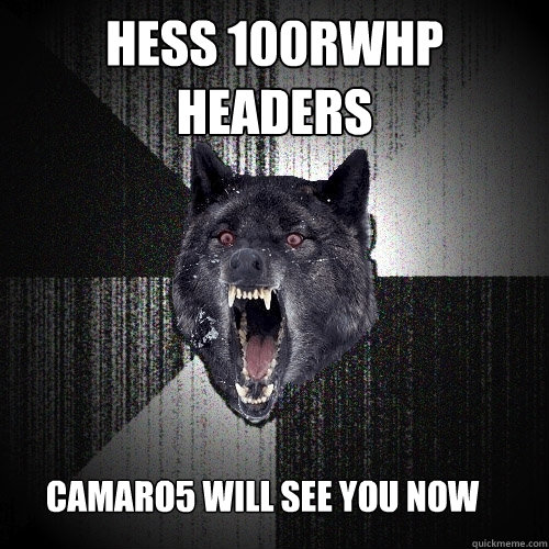 Hess 100rwhp headers Camaro5 will see you now  Insanity Wolf