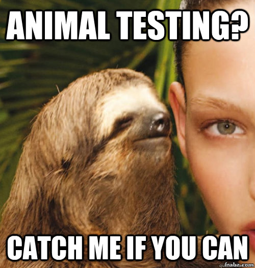 Animal Testing? catch me if you can  rape sloth