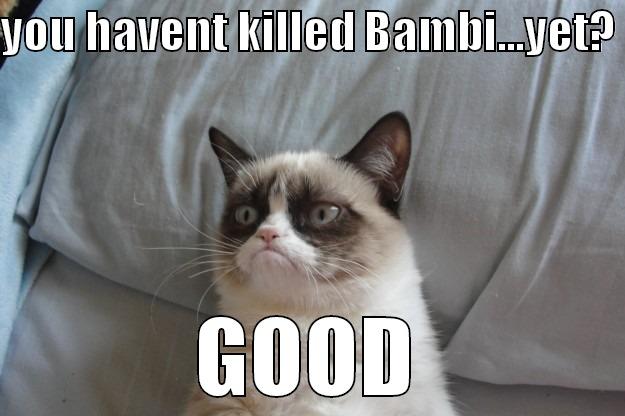 YOU HAVENT KILLED BAMBI...YET?  GOOD Grumpy Cat