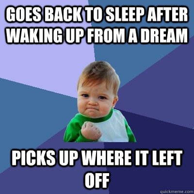 goes back to sleep after waking up from a dream picks up where it left off  Success Kid