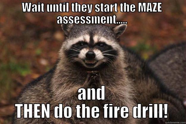 WAIT UNTIL THEY START THE MAZE ASSESSMENT..... AND THEN DO THE FIRE DRILL! Evil Plotting Raccoon