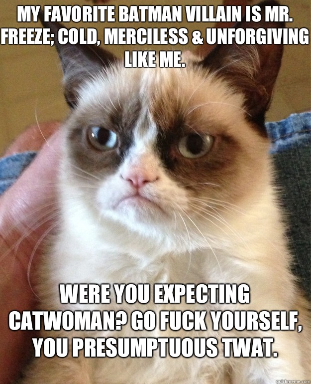 My favorite Batman villain is Mr. Freeze; cold, merciless & unforgiving like me. Were you expecting Catwoman? Go fuck yourself, you presumptuous twat.   Grumpy Cat