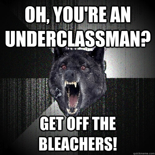 Oh, you're an underclassman? GET OFF THE BLEACHERS!  Insanity Wolf