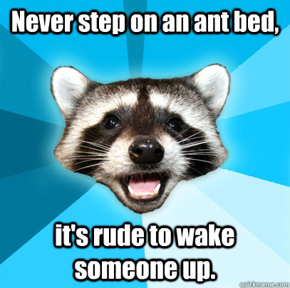 Never step on an ant bed, it's rude to wake someone up.  - Never step on an ant bed, it's rude to wake someone up.   Lame Pun Coon