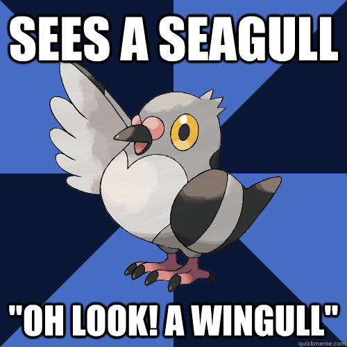 Sees a seagull 