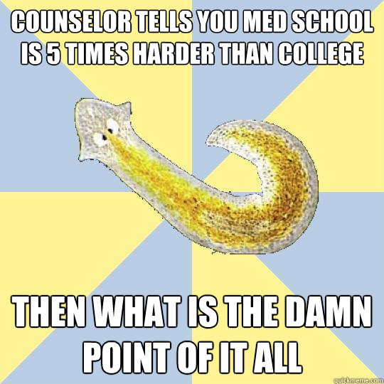 counselor tells you med school is 5 times harder than college then what is the damn point of it all  Bio Major Planarian