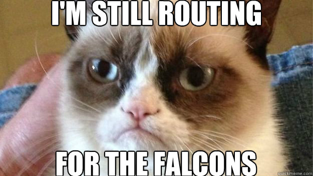 I'm still routing For the falcons - I'm still routing For the falcons  Angry Cat DJs Weddings