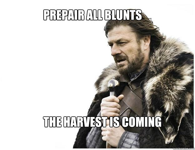 prepair all blunts






the harvest is coming  Imminent Ned