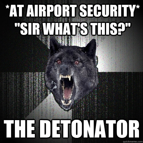 *At airport security* 