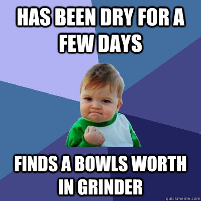 has been dry for a few days finds a bowls worth in grinder - has been dry for a few days finds a bowls worth in grinder  Success Kid