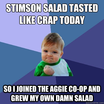 Stimson salad tasted like crap today So I joined the Aggie Co-op and grew my own damn salad  Success Kid