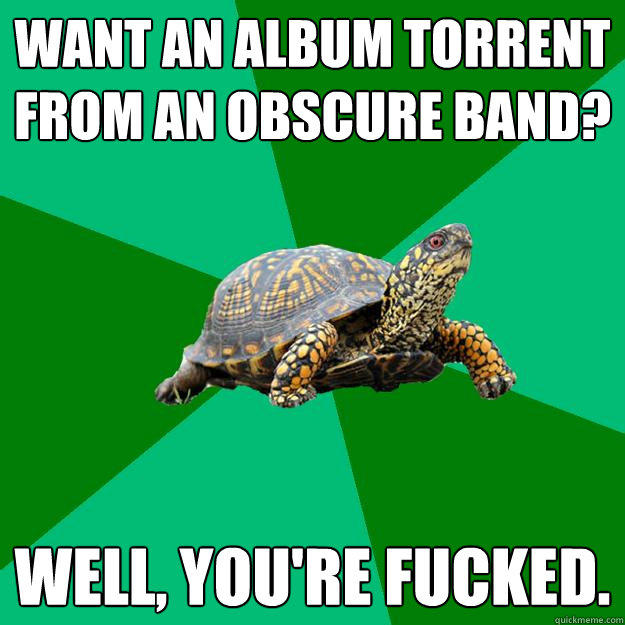 WANT AN ALBUM TORRENT FROM AN OBSCURE BAND? WELL, YOU'RE FUCKED.  Torrenting Turtle