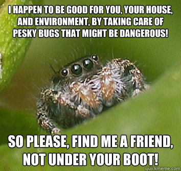 I happen to be good for you, your house, and environment, by taking care of pesky bugs that might be dangerous! So please, find me a friend, not under your boot!  Misunderstood Spider