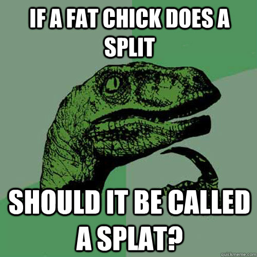 If a fat chick does a split should it be called a splat?  Philosoraptor