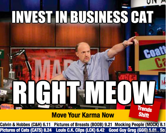 Invest in Business cat Right meow  Mad Karma with Jim Cramer