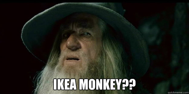  Ikea monkey??  I have no memory Gandalf