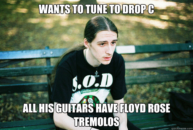 wants to tune to drop c all his guitars have floyd rose tremolos  First World Metal Problems