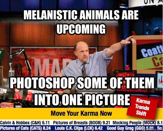 melanistic animals are upcoming photoshop some of them into one picture  Mad Karma with Jim Cramer