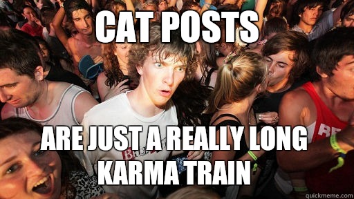 Cat posts Are just a really long karma train - Cat posts Are just a really long karma train  Sudden Clarity Clarence