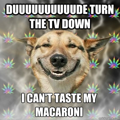 Duuuuuuuuuude turn the TV down I can't taste my Macaroni   Stoner Dog