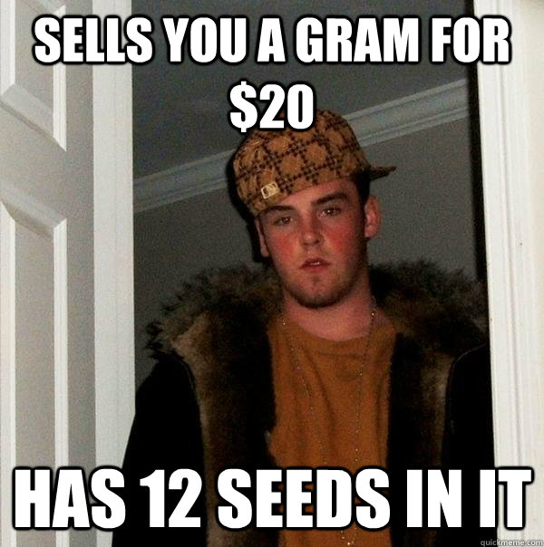 SELLS YOU A GRAM FOR $20 HAS 12 SEEDS IN IT  Scumbag Steve