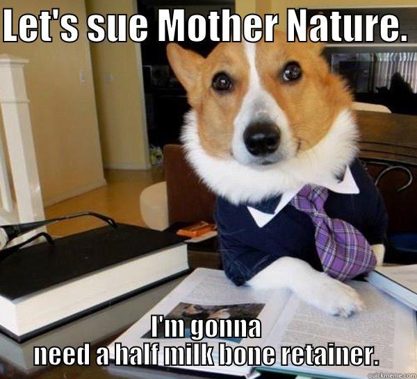 LET'S SUE MOTHER NATURE.  I'M GONNA NEED A HALF MILK BONE RETAINER. Lawyer Dog