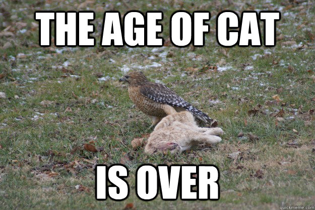 The age of cat is over - The age of cat is over  Misc