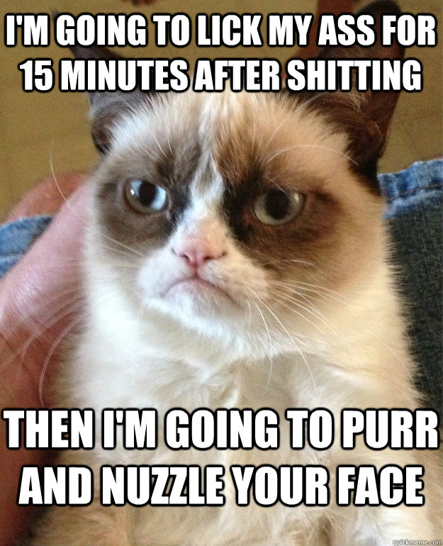 I'm going to lick my ass for 15 minutes after shitting Then I'm going to purr and nuzzle your face  Grumpy Cat