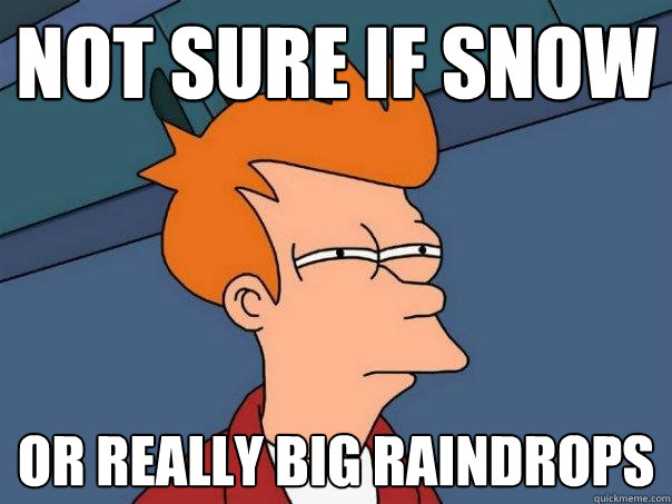 Not sure if snow Or really big raindrops  Futurama Fry