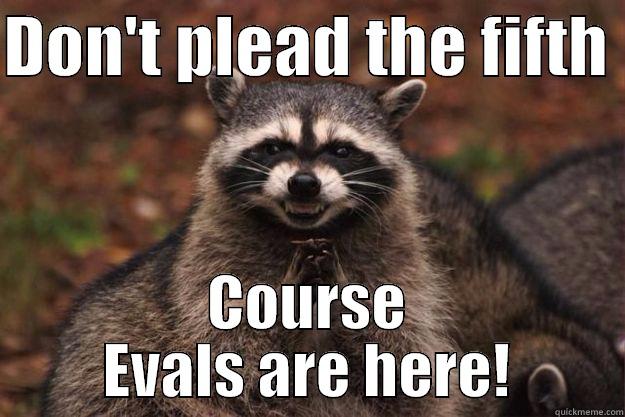 DON'T PLEAD THE FIFTH  COURSE EVALS ARE HERE! Evil Plotting Raccoon