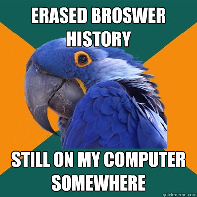 Erased broswer history still on my computer somewhere  Paranoid Parrot