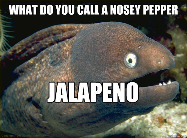 what do you call a nosey pepper jalapeno business  Bad Joke Eel