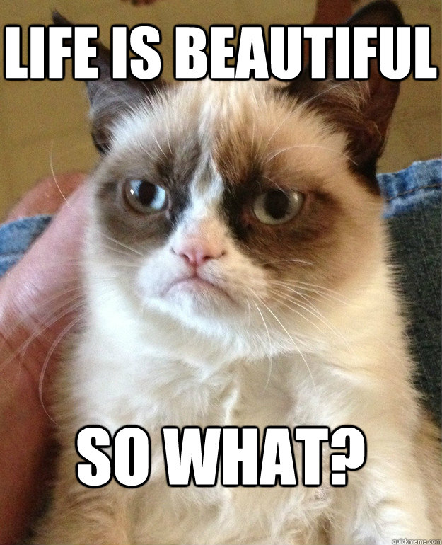 life is beautiful so what? - life is beautiful so what?  Grumpy Cat