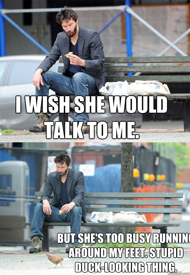 i wish she would talk to me. but she's too busy running around my feet. stupid duck-looking thing. - i wish she would talk to me. but she's too busy running around my feet. stupid duck-looking thing.  Sad Keanu