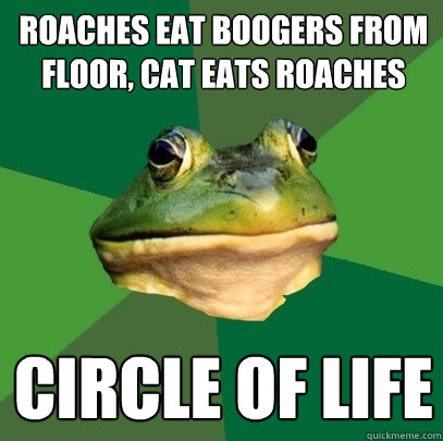 roaches eat boogers from floor, cat eats roaches circle of life  Foul Bachelor Frog