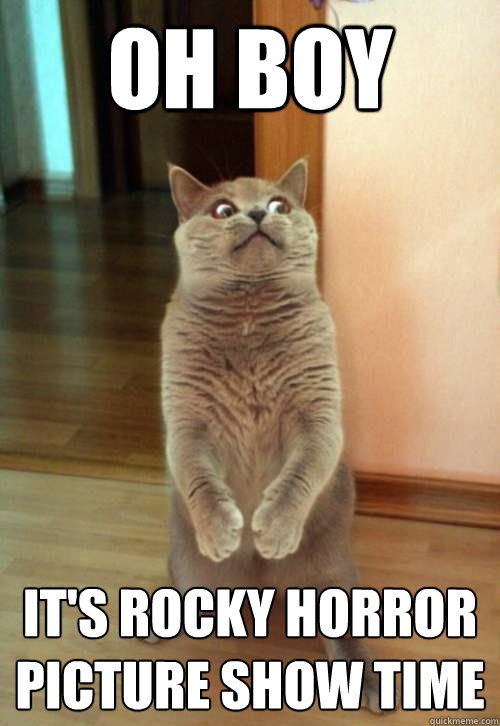 Oh boy it's rocky horror picture show time  Horrorcat