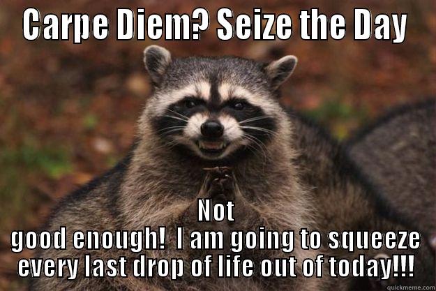 CARPE DIEM? SEIZE THE DAY NOT GOOD ENOUGH!  I AM GOING TO SQUEEZE EVERY LAST DROP OF LIFE OUT OF TODAY!!! Evil Plotting Raccoon