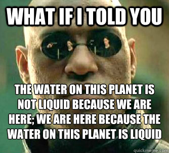 What if I told you the water on this planet is not liquid because we are here; we are here because the water on this planet is liquid  What if I told you