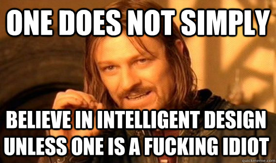 ONE DOES NOT SIMPLY BELIEVE IN INTELLIGENT DESIGN UNLESS ONE IS A FUCKING IDIOT  One Does Not Simply