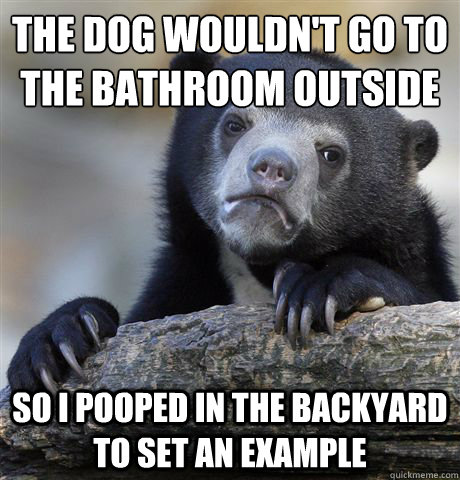 The dog wouldn't go to the bathroom outside So i pooped in the backyard to set an example  Confession Bear