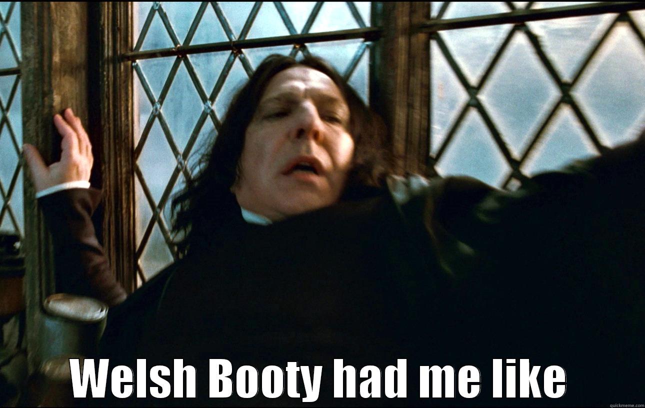  WELSH BOOTY HAD ME LIKE Misc