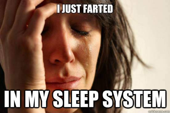 i just farted in my sleep system - i just farted in my sleep system  First World Problems