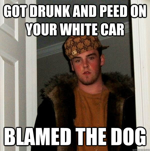 got drunk and peed on your white car  blamed the dog - got drunk and peed on your white car  blamed the dog  Scumbag Steve