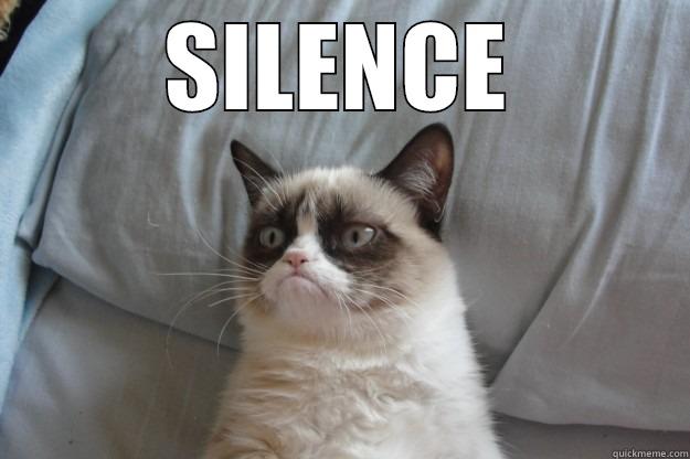 Me asking my students nicely to shut up - SILENCE  Grumpy Cat