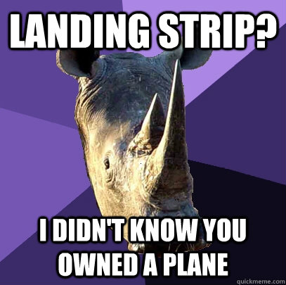 Landing Strip? I didn't know you owned a plane  Sexually Oblivious Rhino