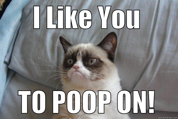 I LIKE YOU TO POOP ON! Grumpy Cat